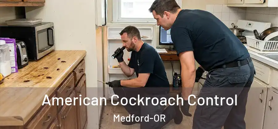  American Cockroach Control Medford-OR