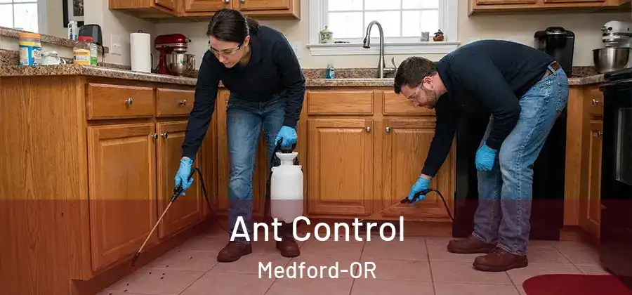  Ant Control Medford-OR