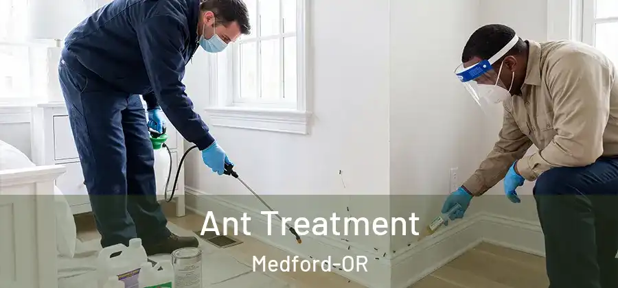 Ant Treatment Medford-OR