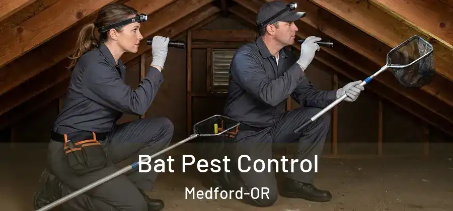 Bat Pest Control Medford-OR