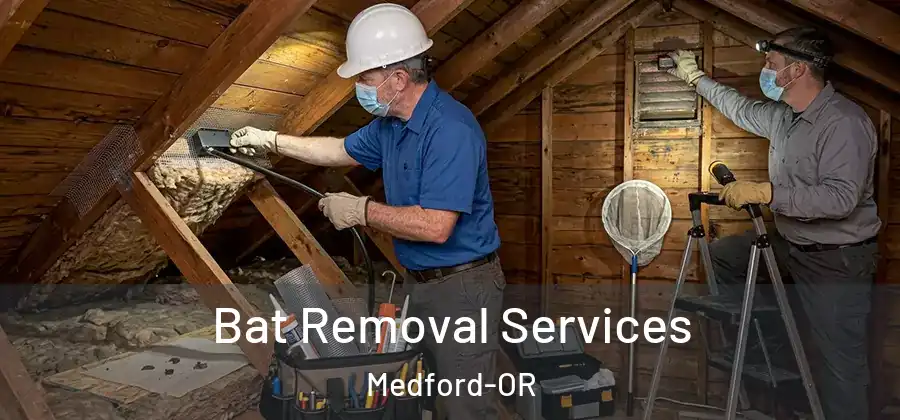  Bat Removal Services Medford-OR