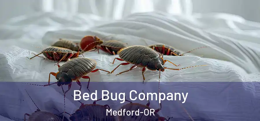Bed Bug Company Medford-OR