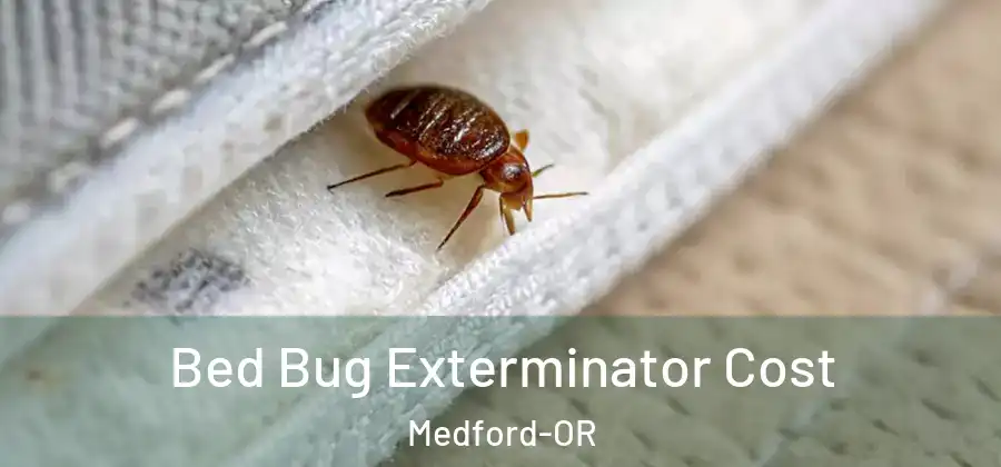 Bed Bug Exterminator Cost Medford-OR