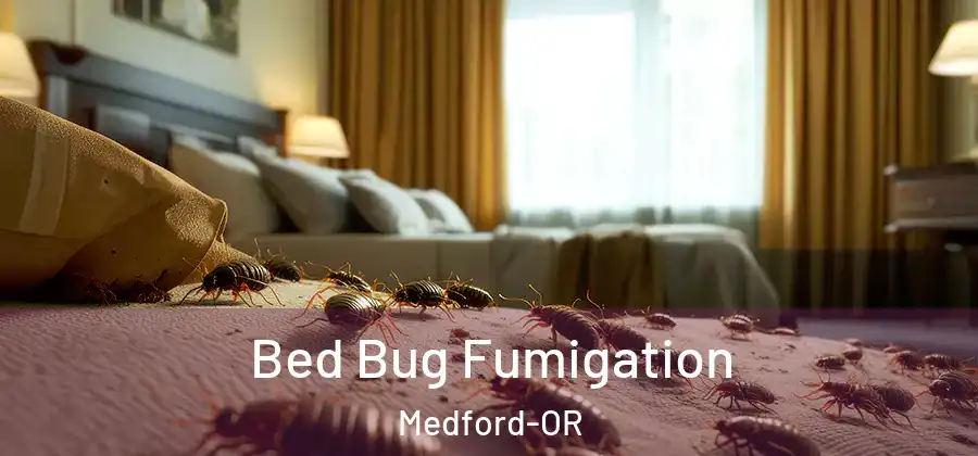 Bed Bug Fumigation Medford-OR
