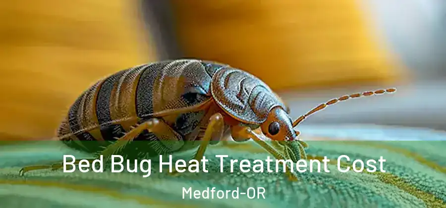  Bed Bug Heat Treatment Cost Medford-OR