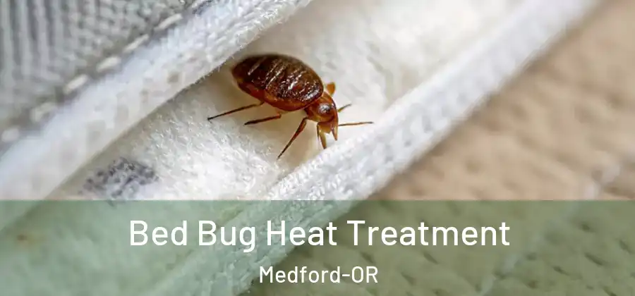  Bed Bug Heat Treatment Medford-OR