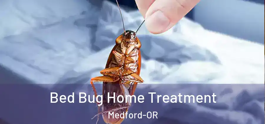  Bed Bug Home Treatment Medford-OR