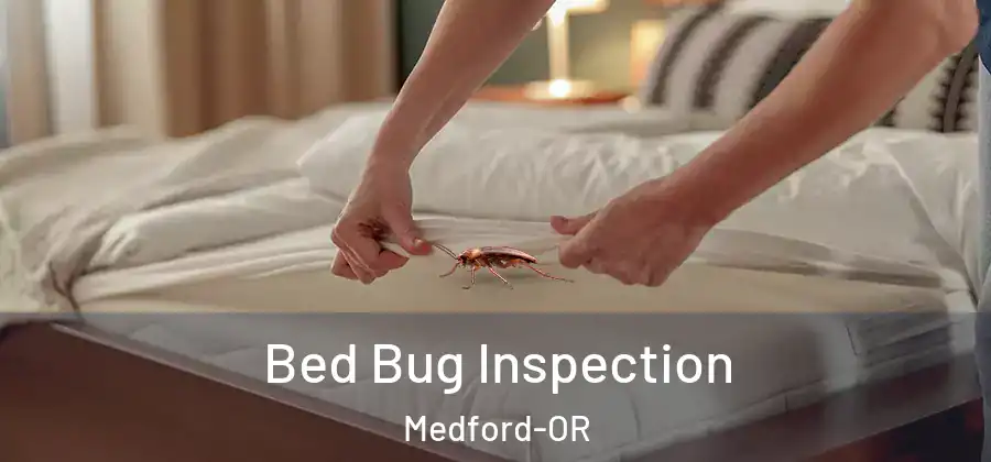Bed Bug Inspection Medford-OR