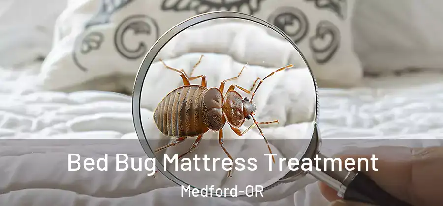  Bed Bug Mattress Treatment Medford-OR