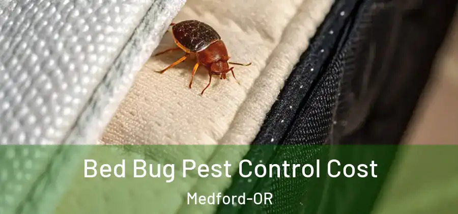  Bed Bug Pest Control Cost Medford-OR