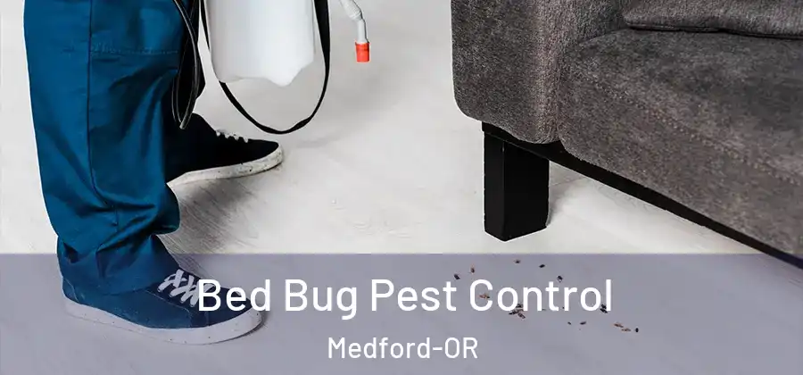 Bed Bug Pest Control Medford-OR