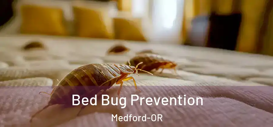  Bed Bug Prevention Medford-OR
