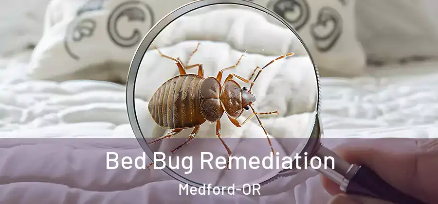  Bed Bug Remediation Medford-OR