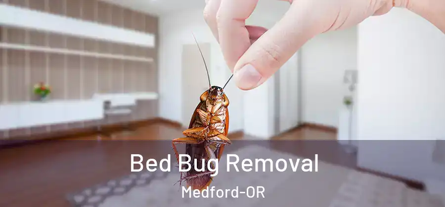  Bed Bug Removal Medford-OR