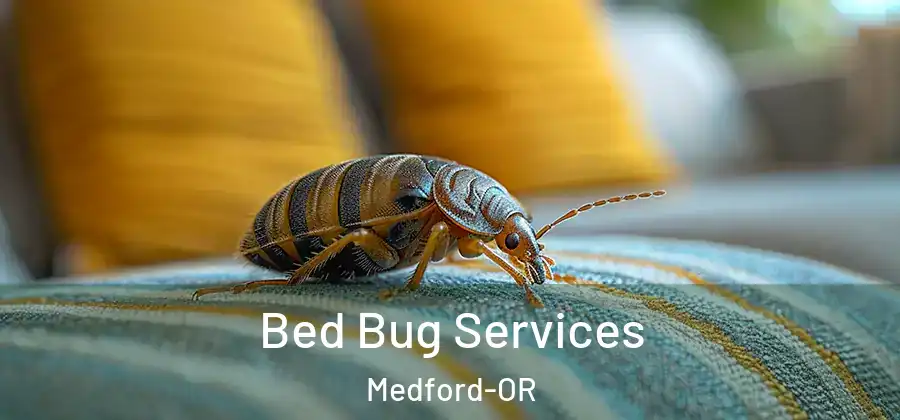 Bed Bug Services Medford-OR