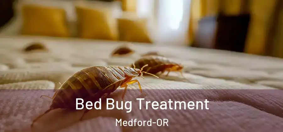  Bed Bug Treatment Medford-OR