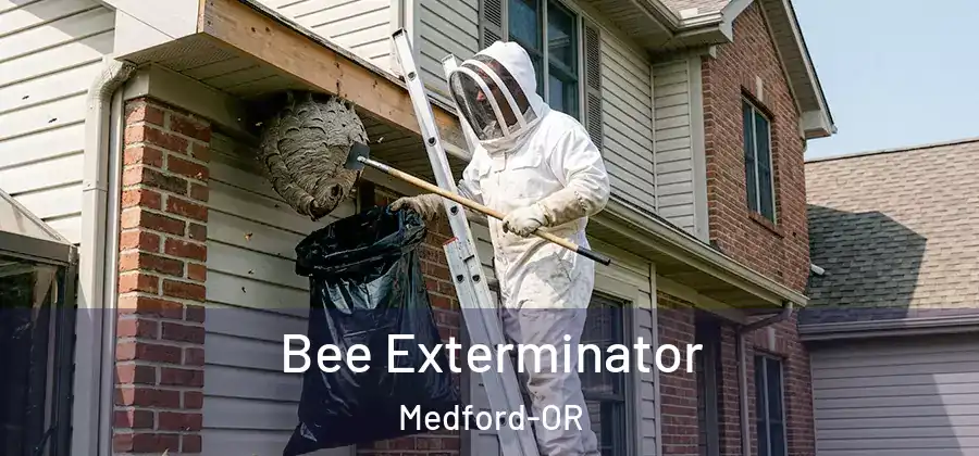 Bee Exterminator Medford-OR