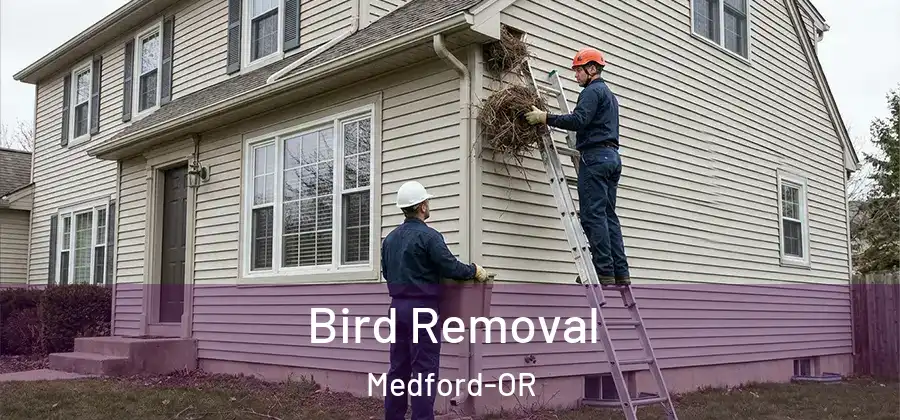  Bird Removal Medford-OR