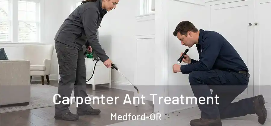  Carpenter Ant Treatment Medford-OR