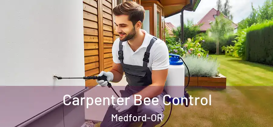Carpenter Bee Control Medford-OR