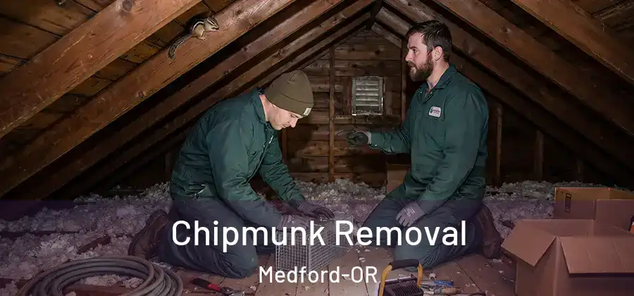  Chipmunk Removal Medford-OR