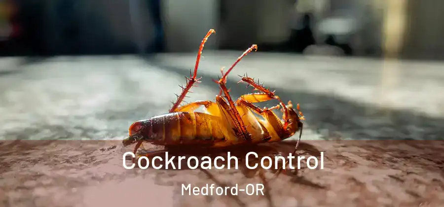 Cockroach Control Medford-OR