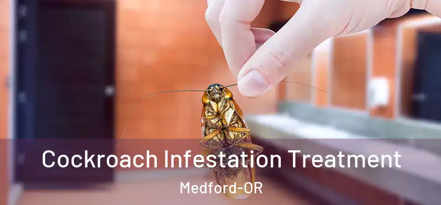  Cockroach Infestation Treatment Medford-OR