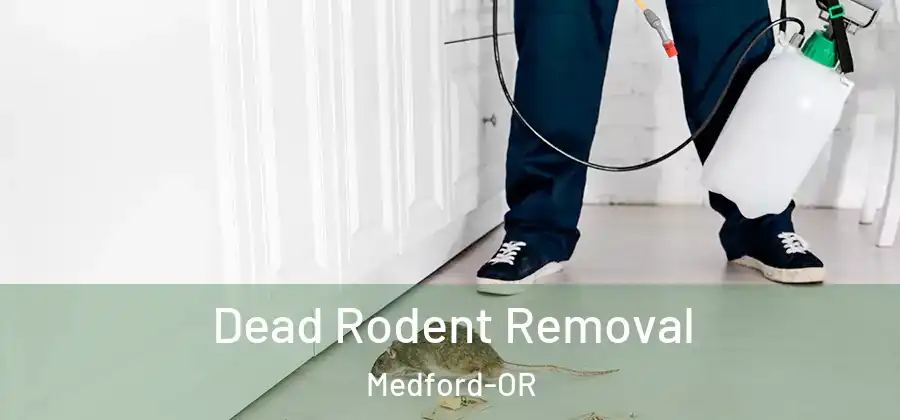  Dead Rodent Removal Medford-OR