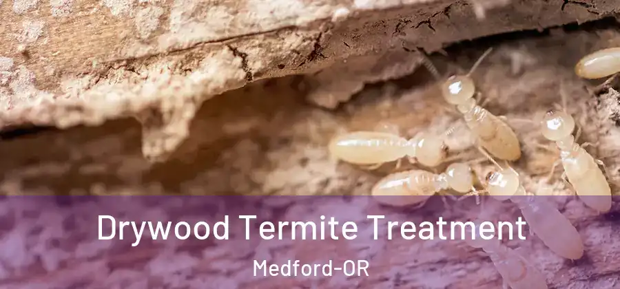  Drywood Termite Treatment Medford-OR