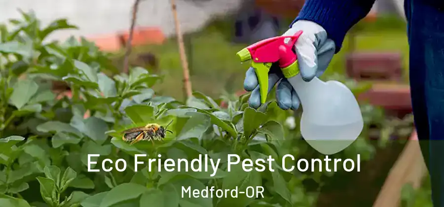  Eco Friendly Pest Control Medford-OR