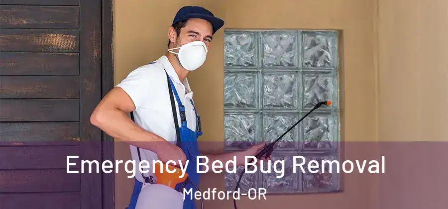  Emergency Bed Bug Removal Medford-OR