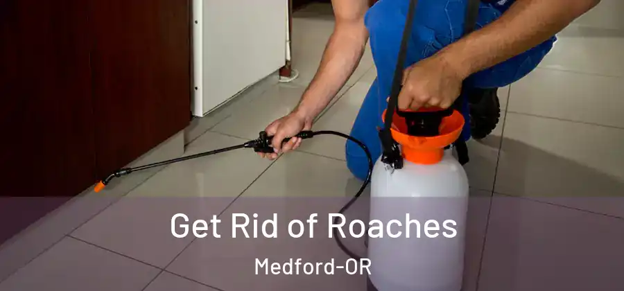  Get Rid of Roaches Medford-OR