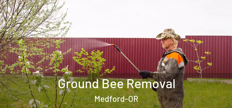  Ground Bee Removal Medford-OR