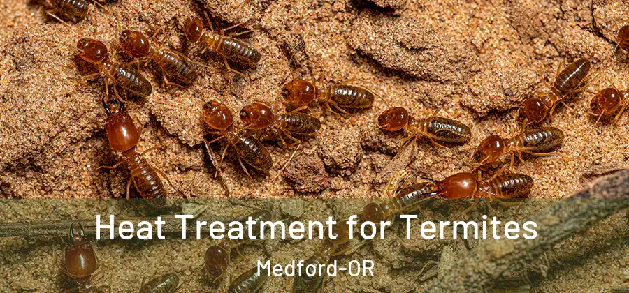  Heat Treatment for Termites Medford-OR