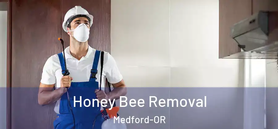 Honey Bee Removal Medford-OR