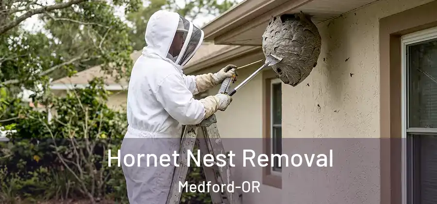 Hornet Nest Removal Medford-OR