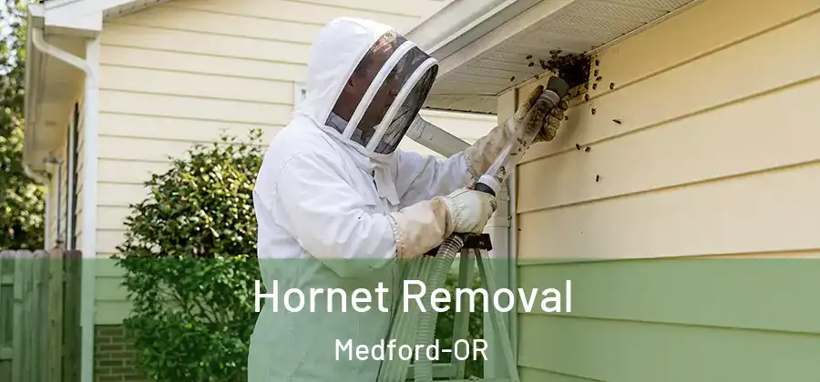  Hornet Removal Medford-OR