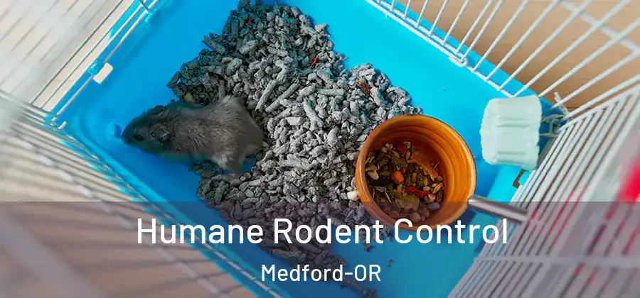  Humane Rodent Control Medford-OR