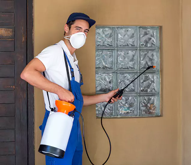 Your Reliable Pest Control in Medford, OR