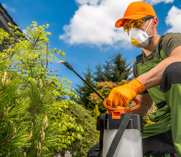 Your Mosquito Repellent Barrier Service in Medford, OR