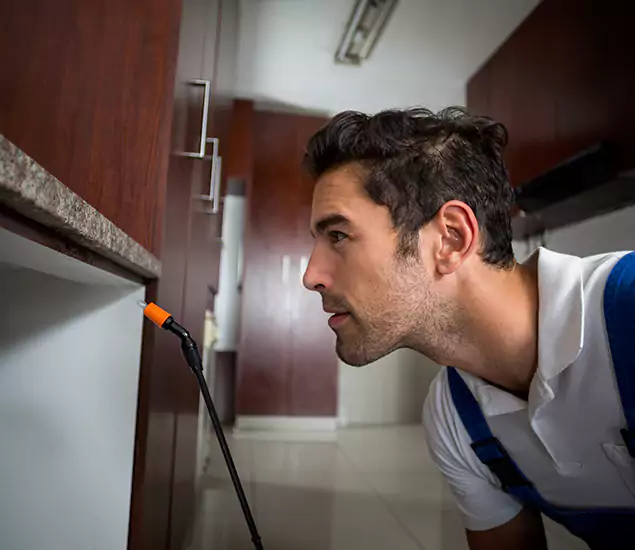 Termite Inspection Cost Experts You Can Trust in Medford, OR