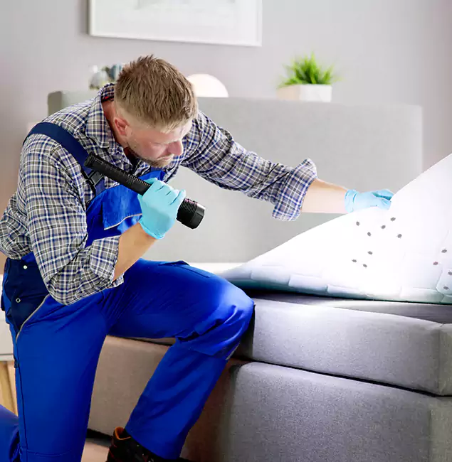 Why Choose Medford Pest Control Pro For Bed Bug Heat Treatment in Medford, OR?