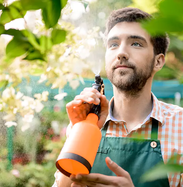 Why Medford Homeowners Call Medford Pest Control Pro for Mosquitoes in House?
