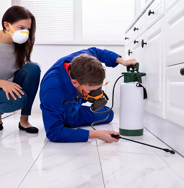 Why Choose Medford Pest Control Pro in Medford, OR?