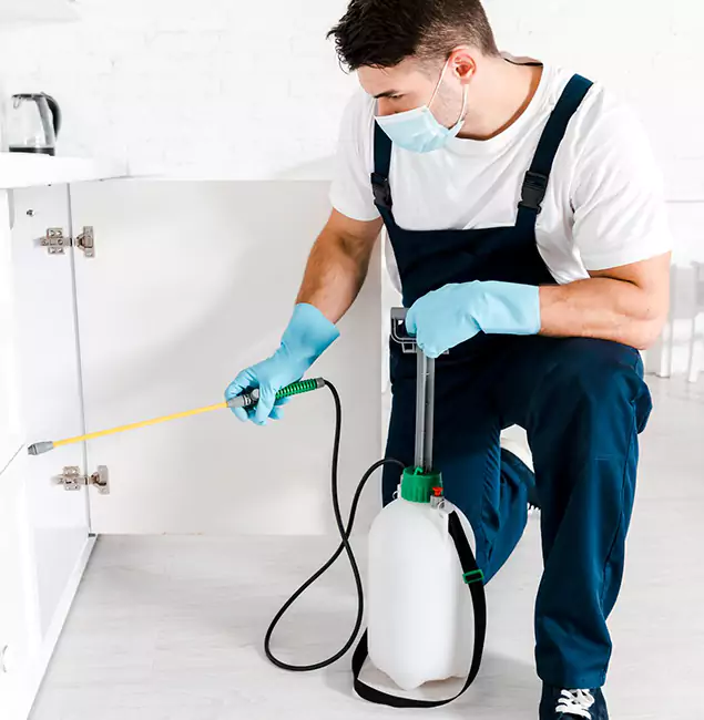 Why Choose Medford Pest Control Pro for Termite Spot Treatment in Medford, OR?