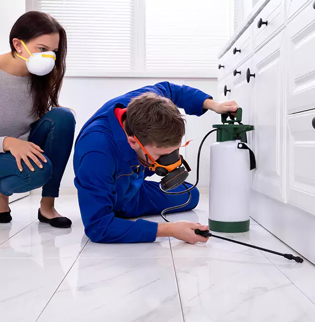 Why Choose Wood Termite Treatment by Medford Pest Control Pro in Medford, OR?
