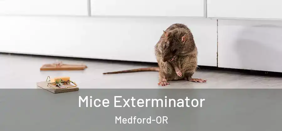  Mice Exterminator Medford-OR