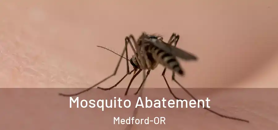  Mosquito Abatement Medford-OR