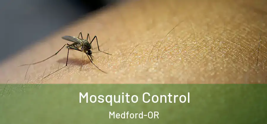  Mosquito Control Medford-OR