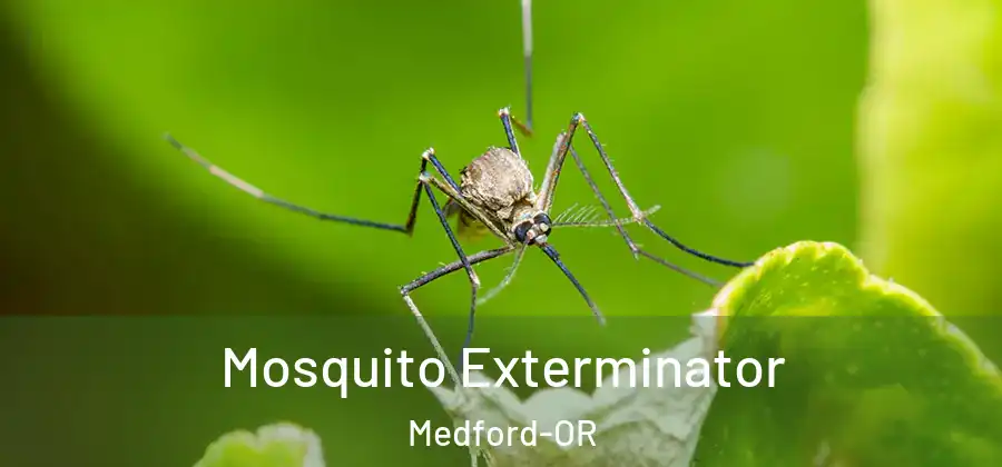  Mosquito Exterminator Medford-OR